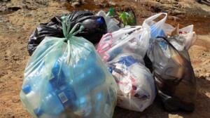 В Дании хотят запретить пластиковые пакеты